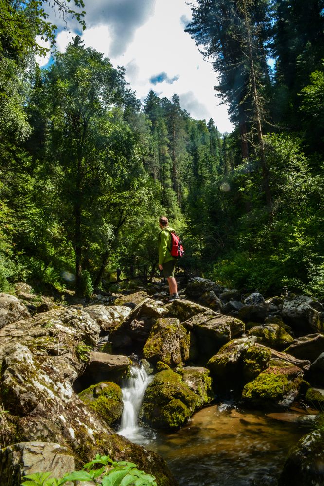 Photograph by Глухарев Сергей