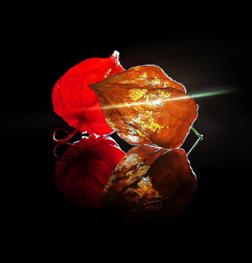 Photograph by Анастасия