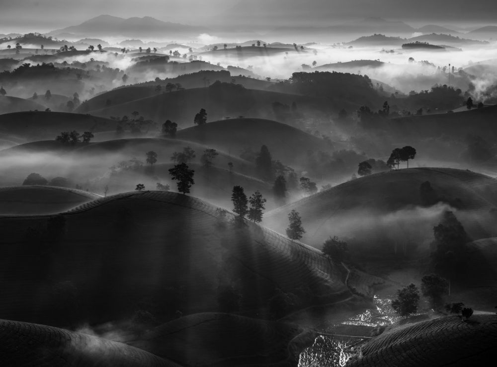 Photograph by Mai Anh Tú