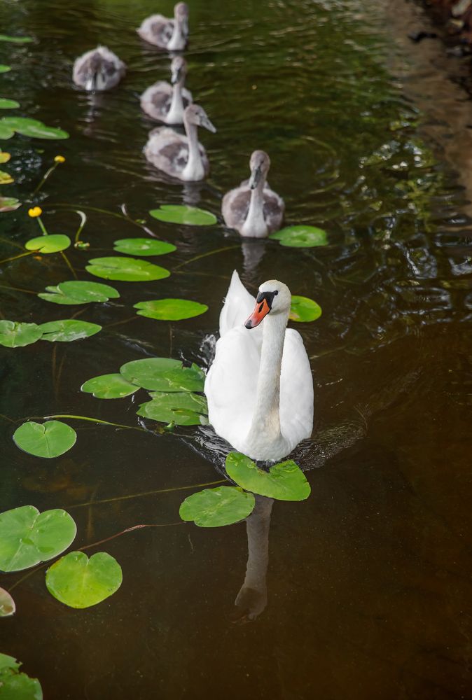 Photograph by Анна Малютина