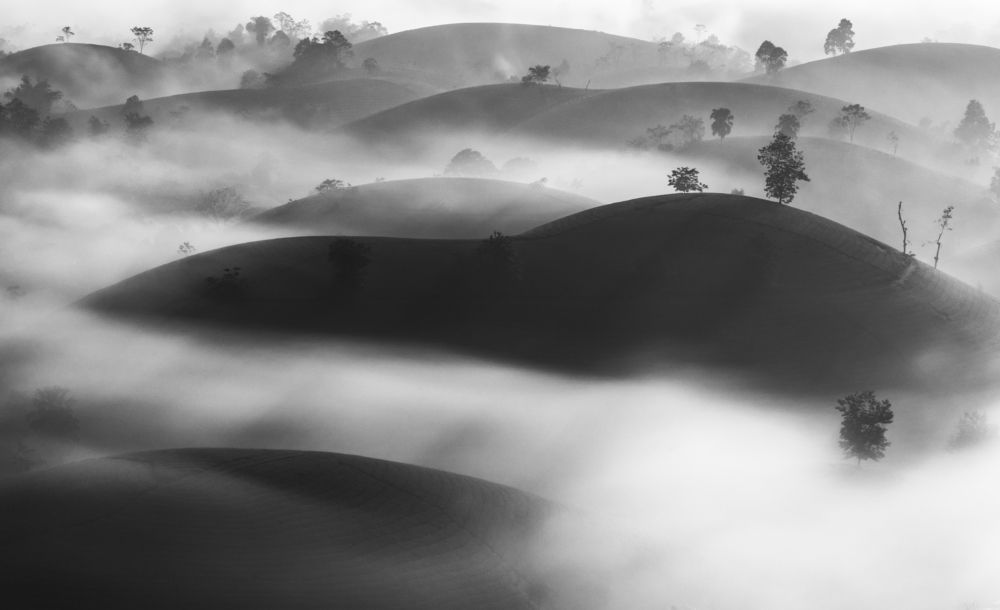 Photograph by Mai Anh Tú