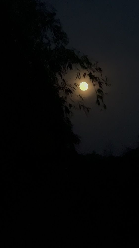 Photograph by Sharma Dr Megha