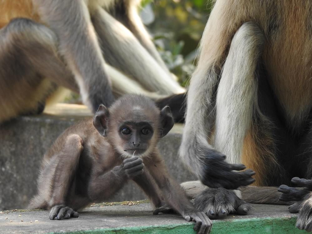 Photograph by Amlan Ghosh