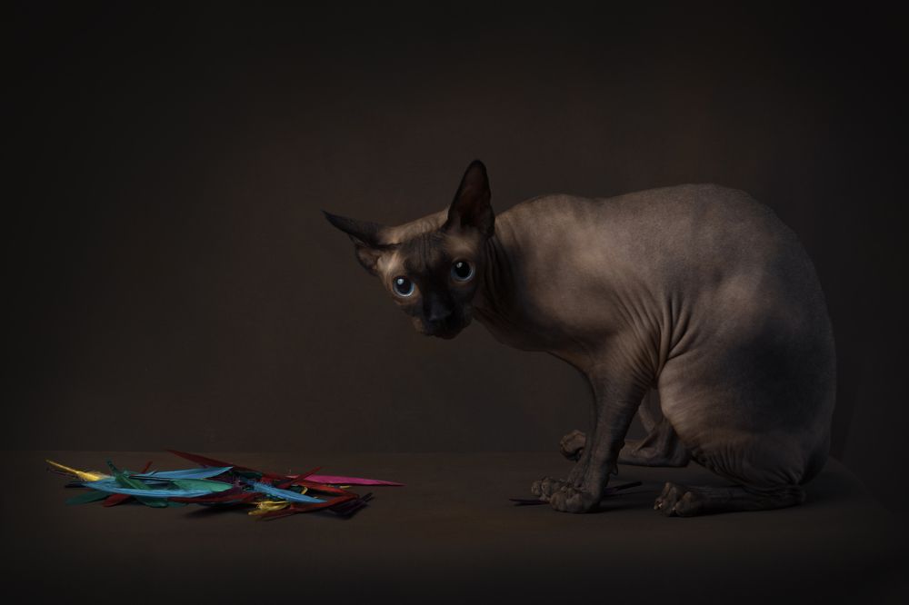 Photograph by Ольга Савельева