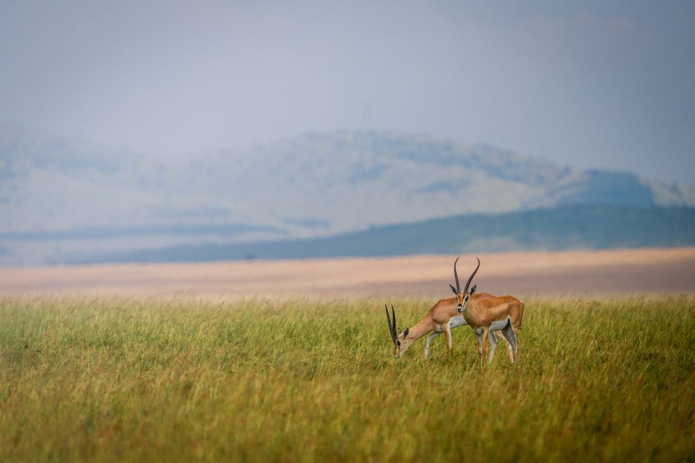 Photograph by Gimantha Perera