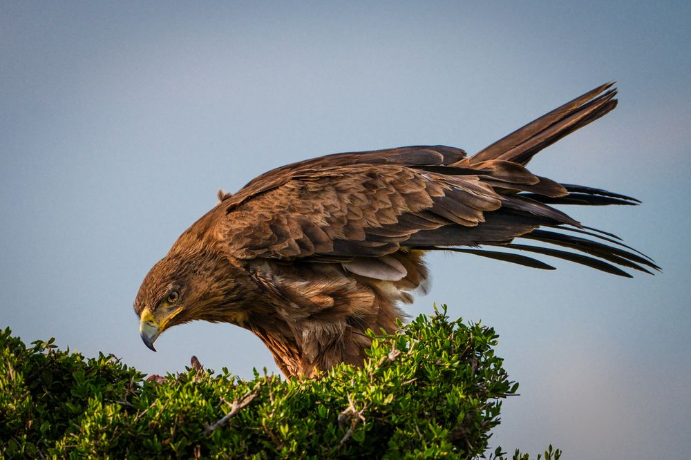 Photograph by Gimantha Perera