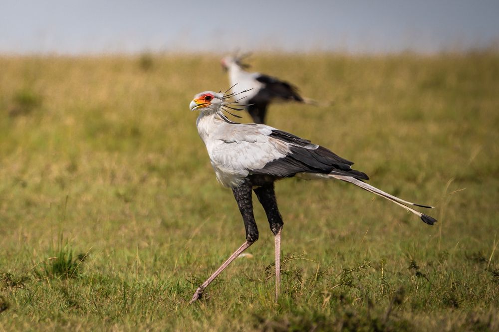 Photograph by Gimantha Perera