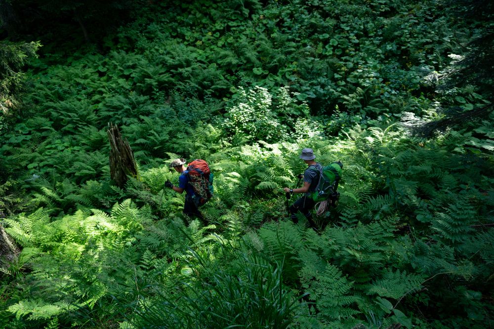 Photograph by Викторио