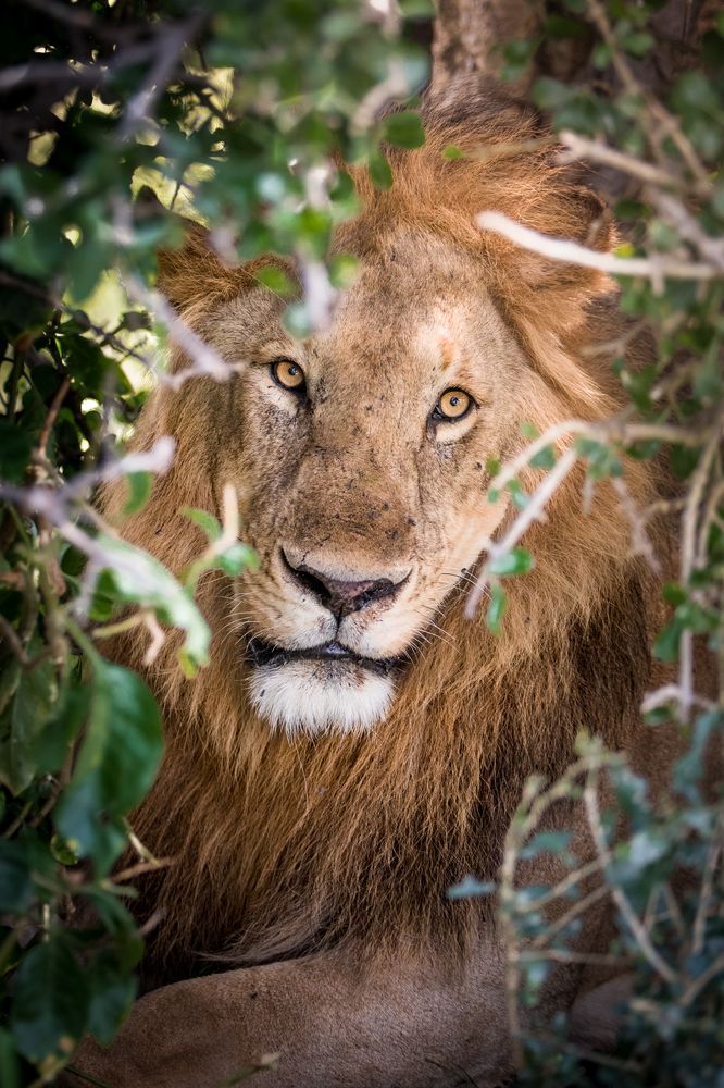 Photograph by Gimantha Perera