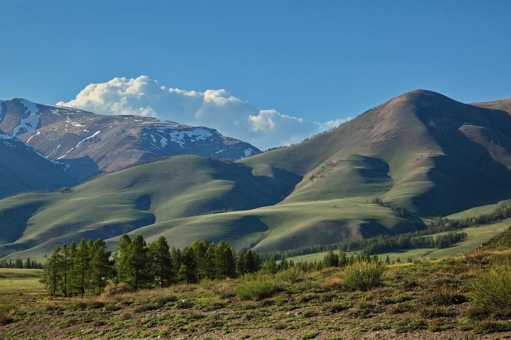 Photograph by Олег Раков