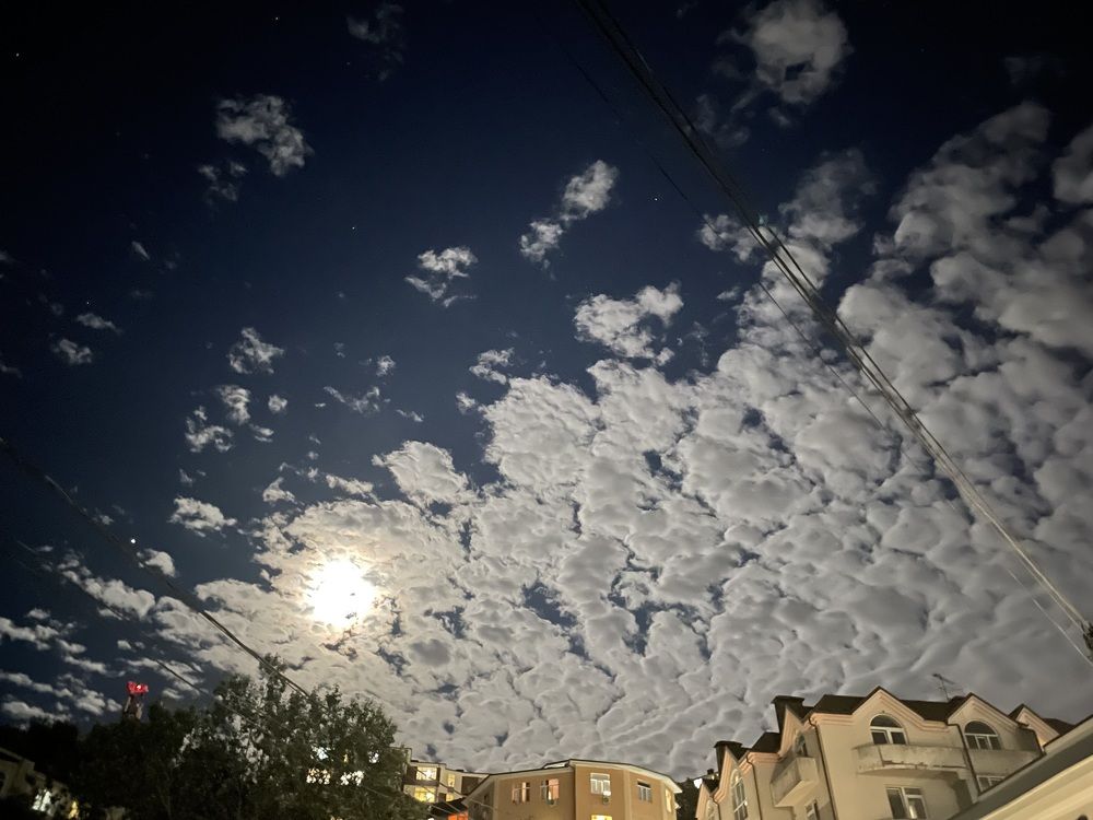 Photograph by Katerina Mak