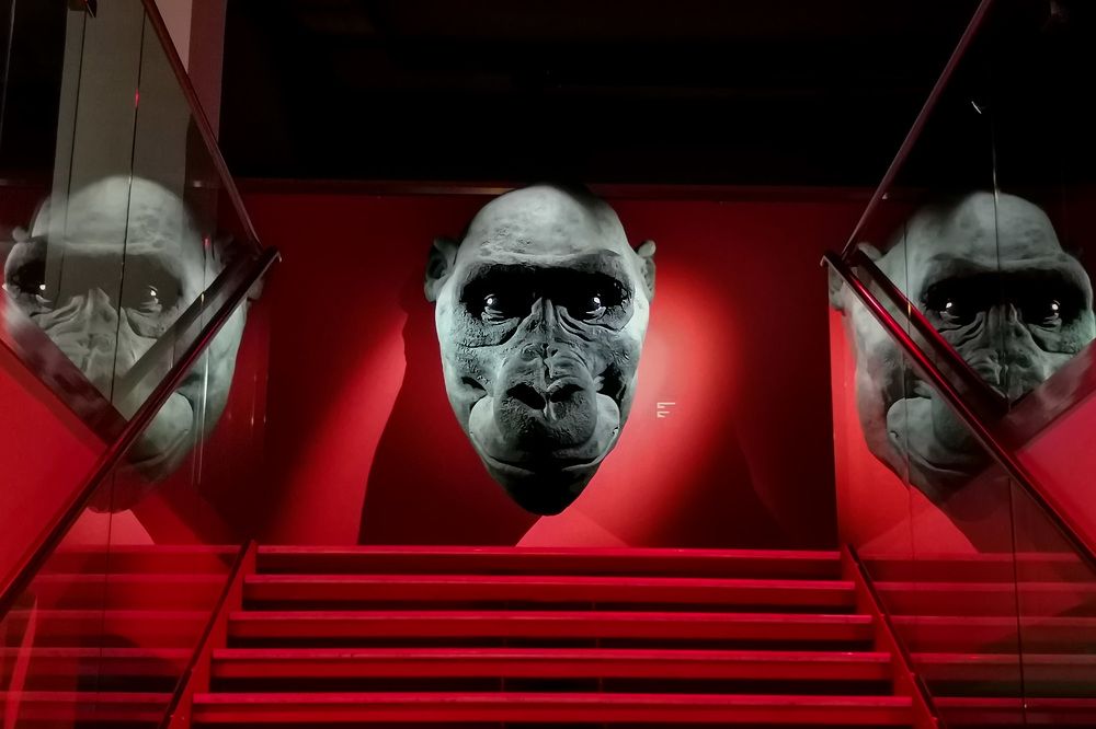 Photograph by Aljona Dyachenko