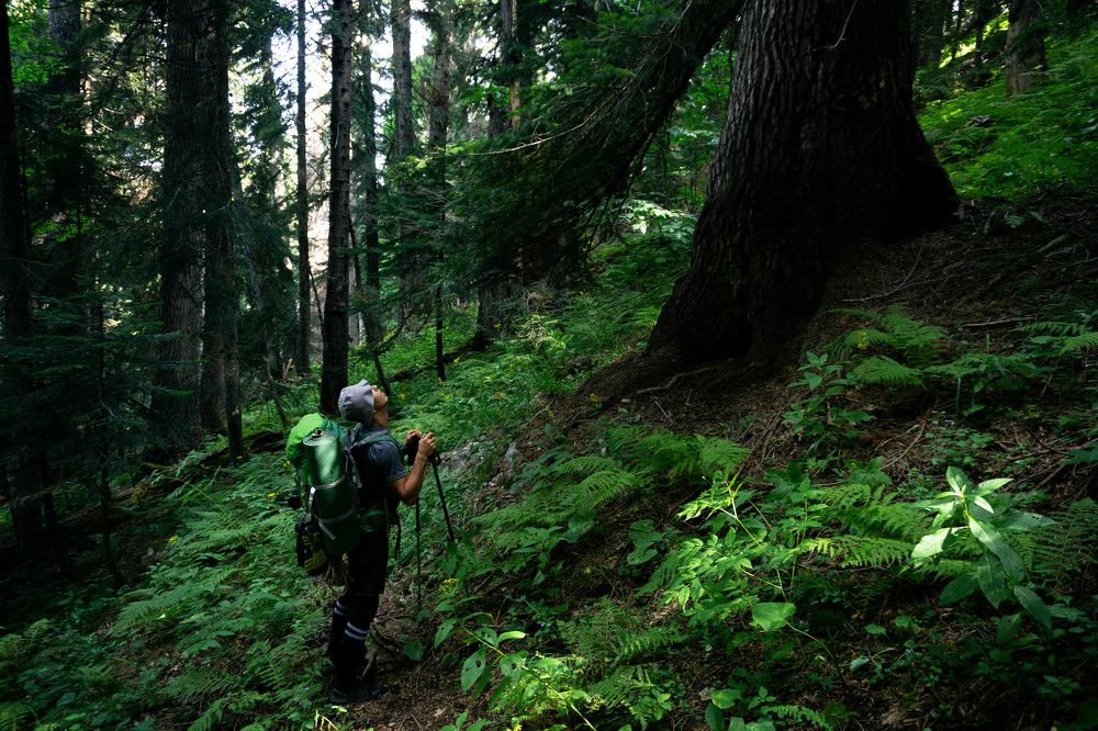 Photograph by Викторио