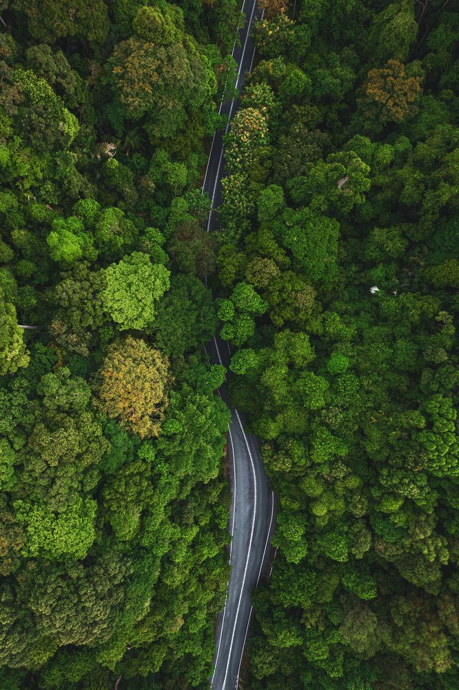 The road less taken.