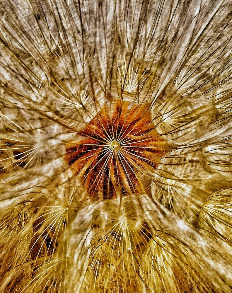 Photograph by Елена Артёменко