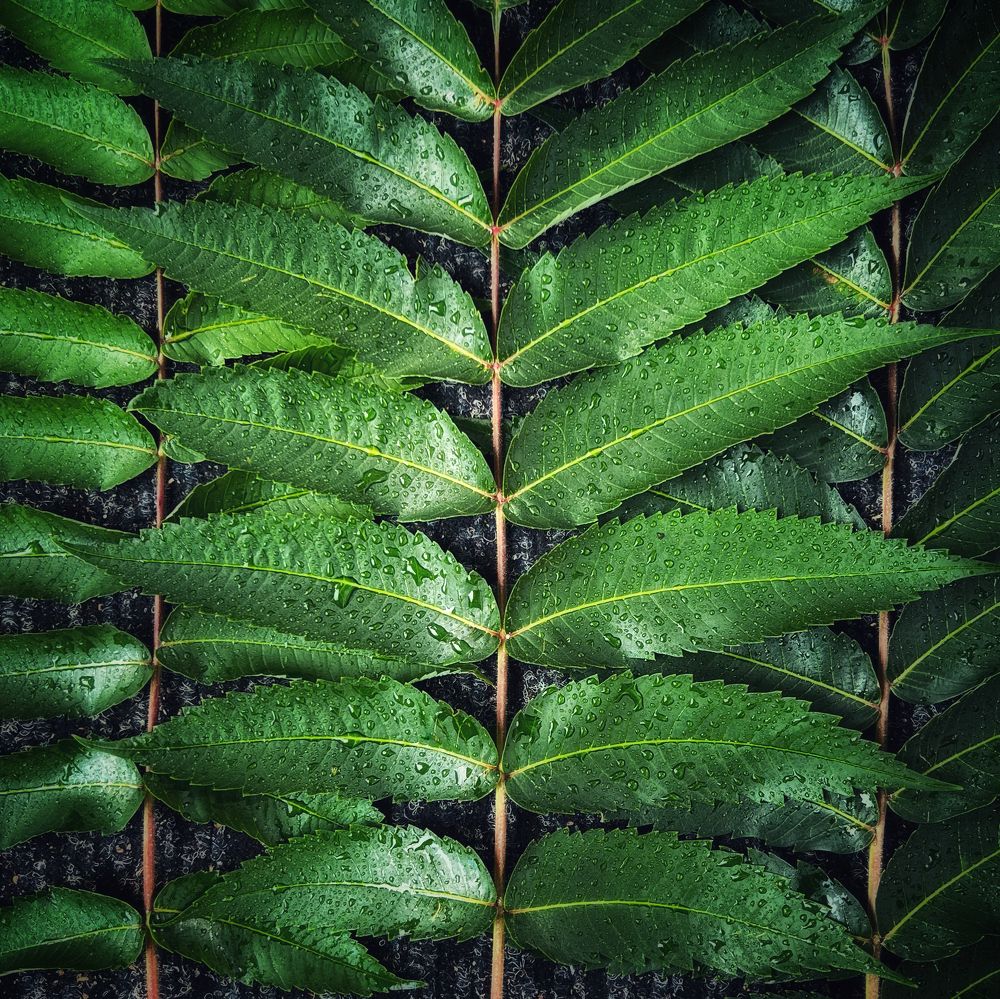 Photograph by Swetlana Lebedev