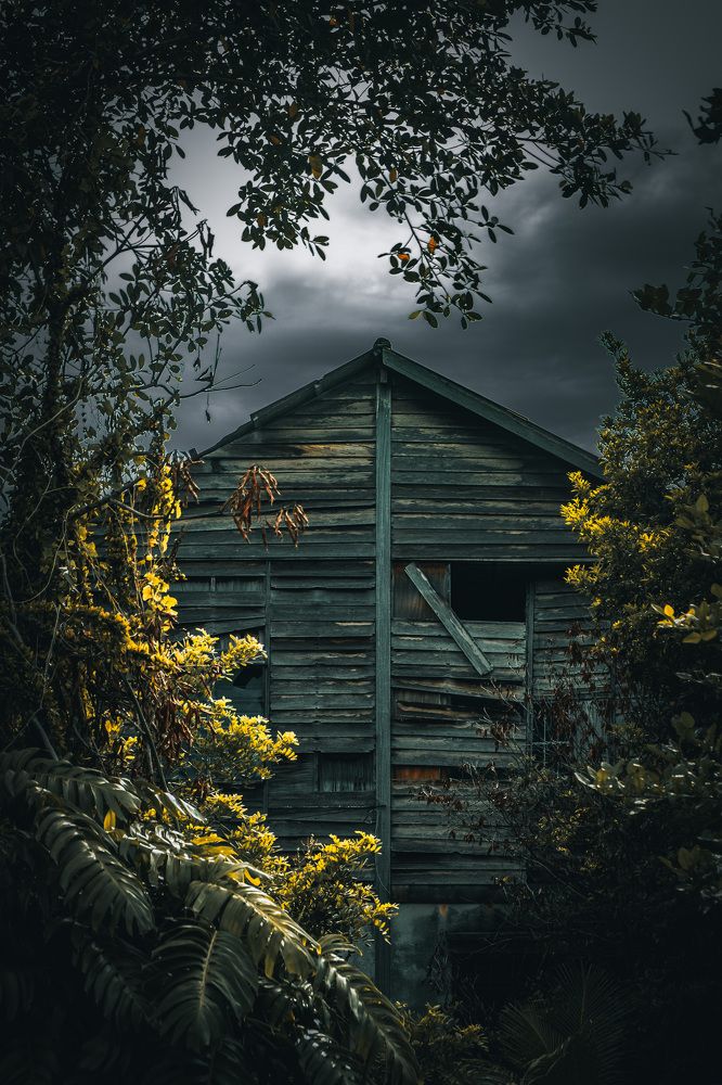 Photograph by viewfinder_sk