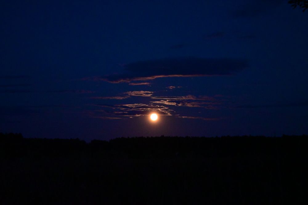 Photograph by Екатерина