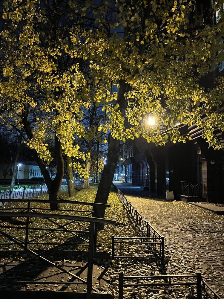 Photograph by Анатолий Протасов