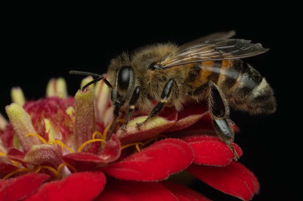 Photograph by Денис Ветренко