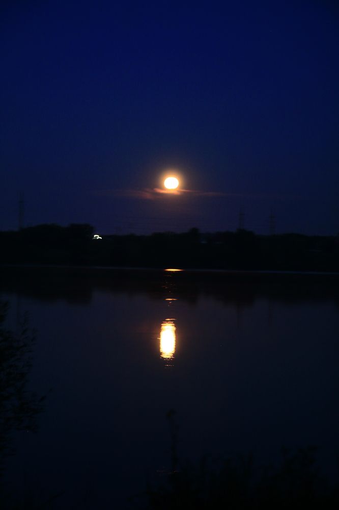 Photograph by Татьяна Мелехина