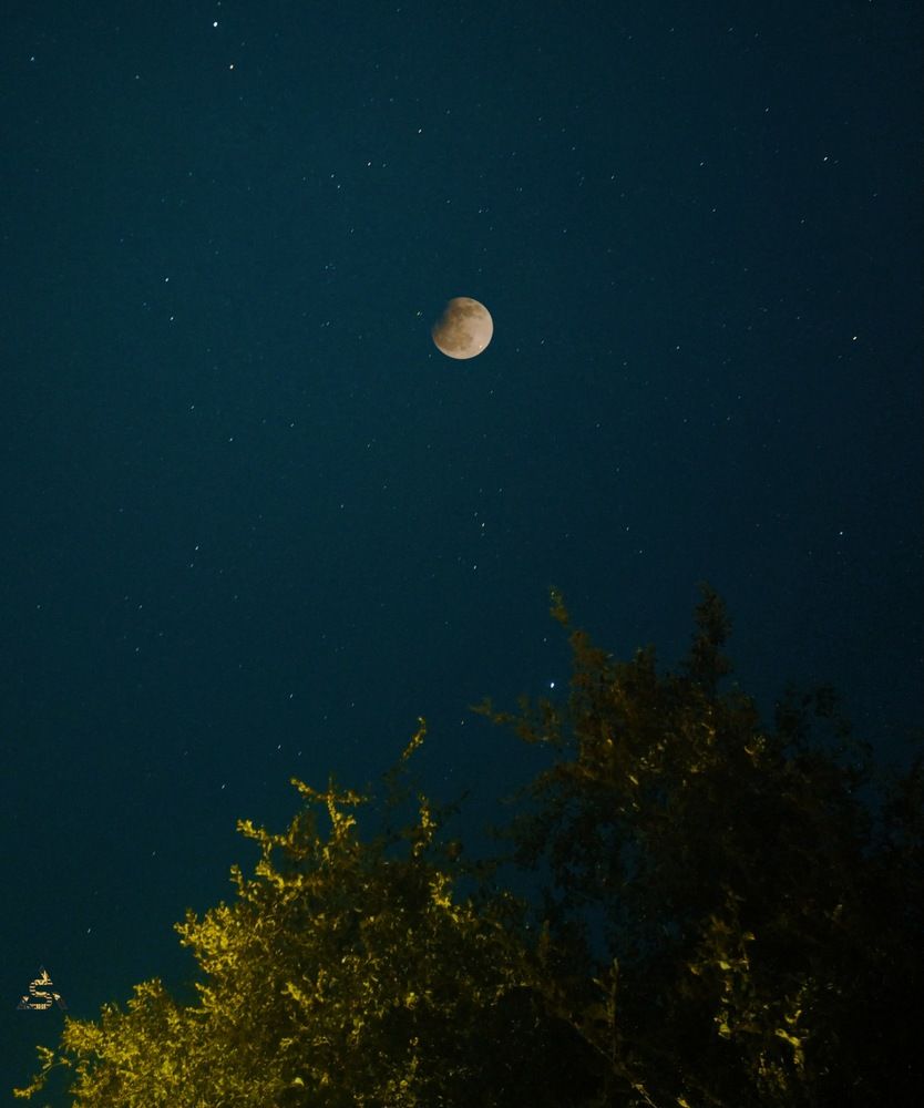 Photograph by No one