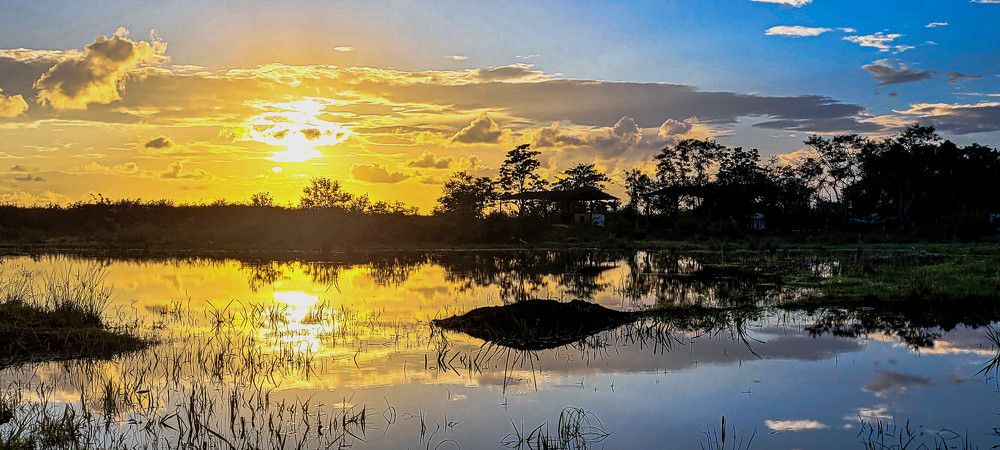 Photograph by Adelaida Frias Hernández