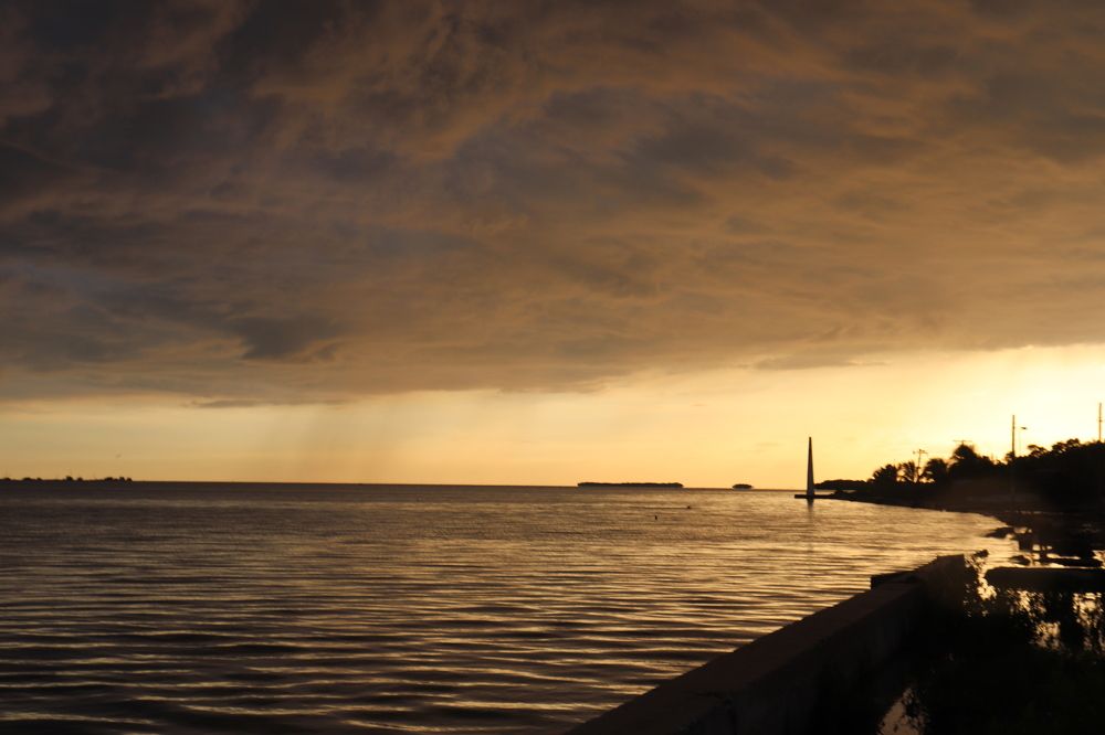 Photograph by Adelaida Frias Hernández