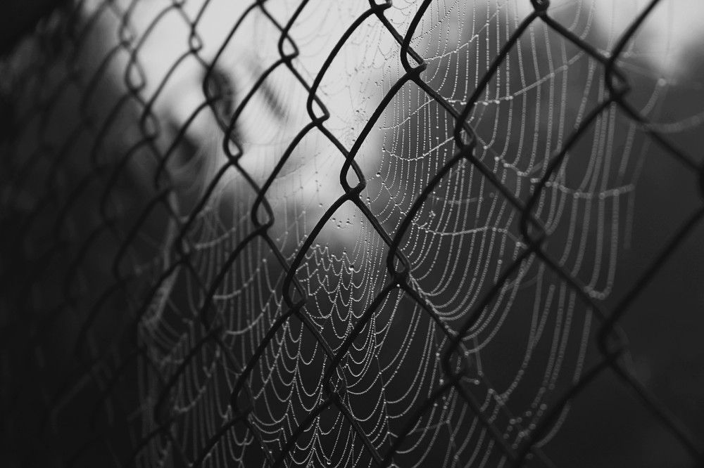 Photograph by Евсеева Валентина