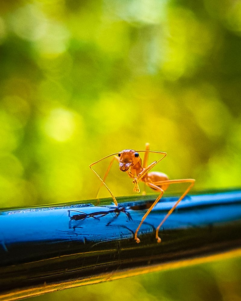 Photograph by chinmaya senapati