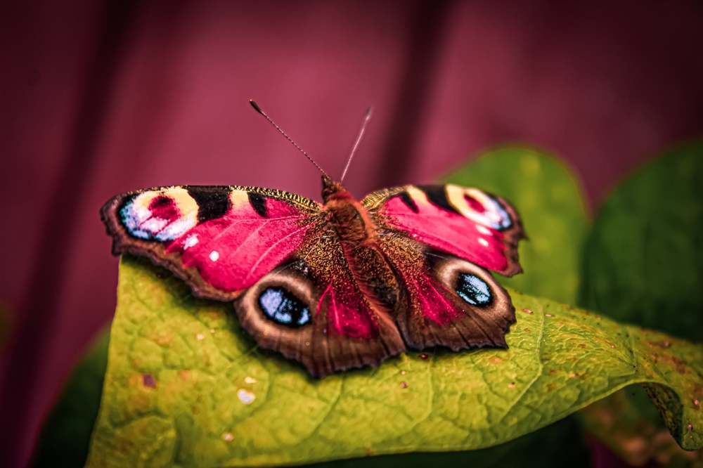 Photograph by Николай Яковлев