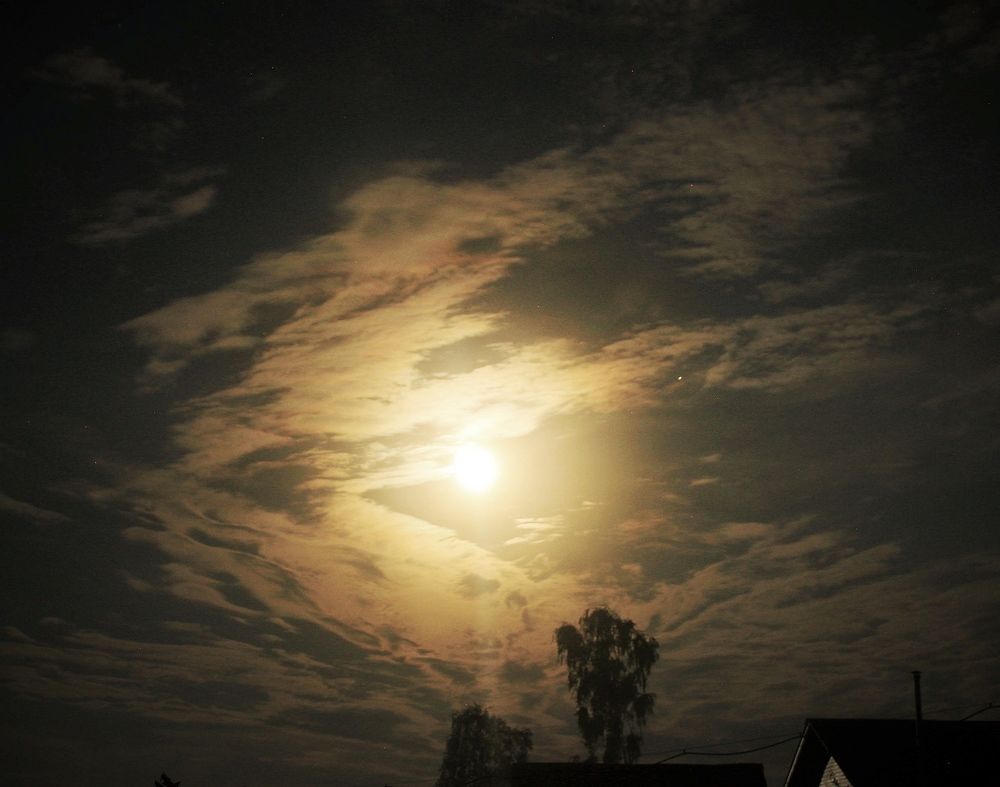 Фотография автора Светлана Терехова