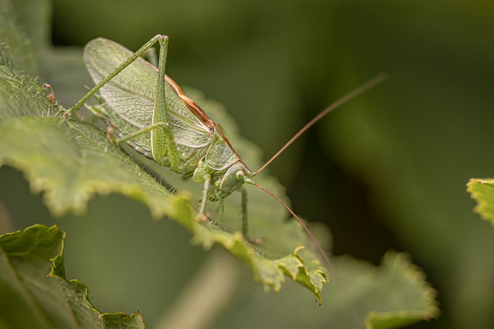 Photograph by Екатерина Бурикова