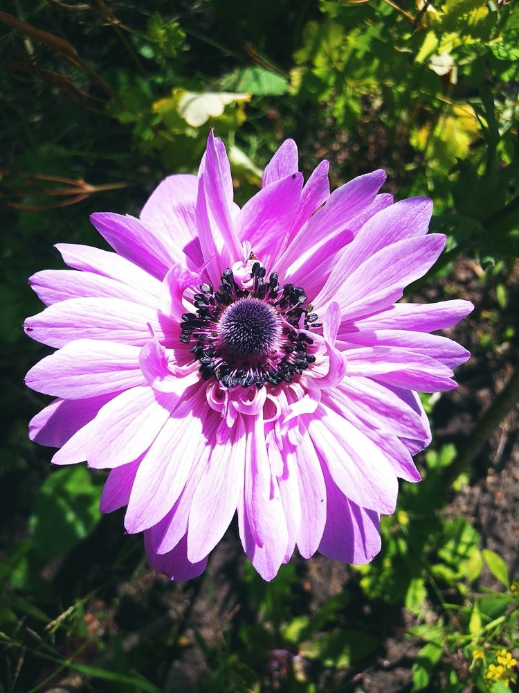 Photograph by Инна Голубева