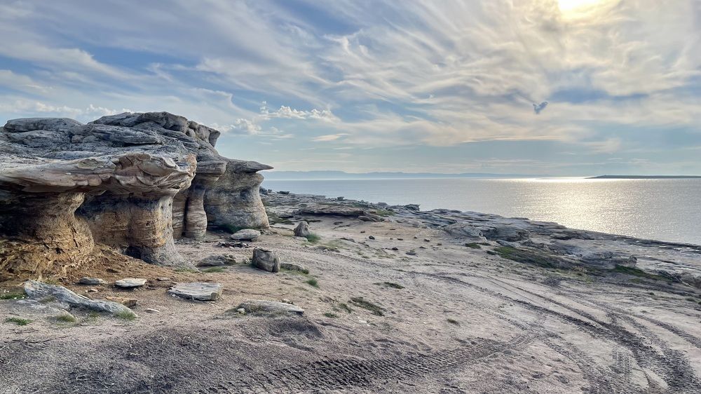 Фотография автора Юлия Шумейко