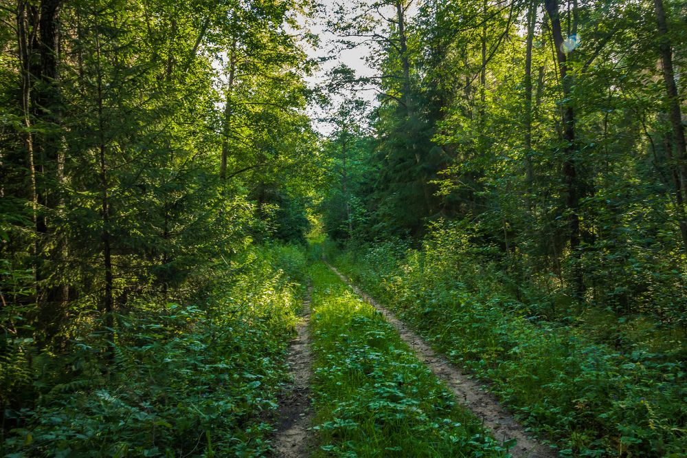 Photograph by Игорь Сидун