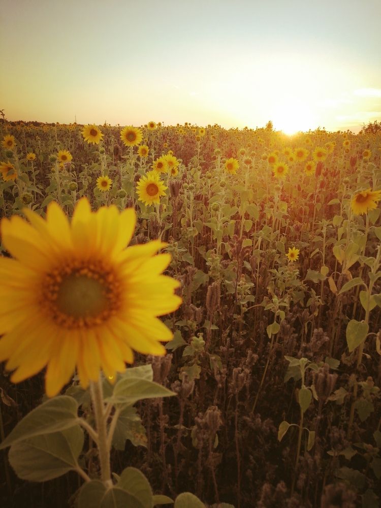 Фотография автора Татьяна Савранчук