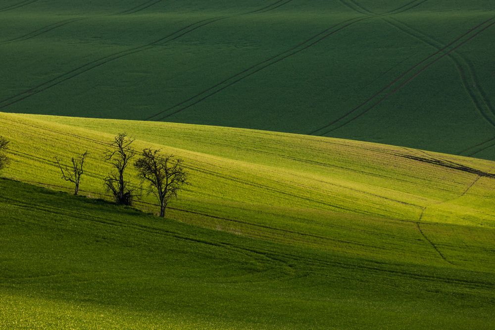 Photograph by Евгения Чех