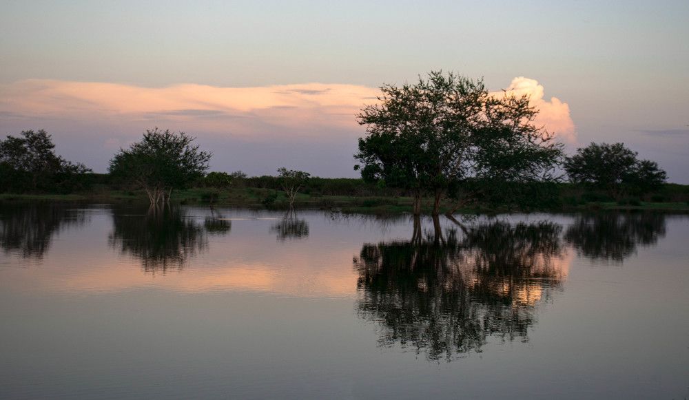 Photograph by Adelaida Frias Hernández