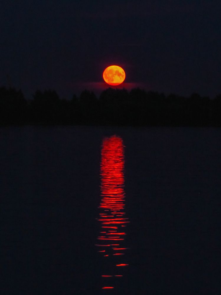 Photograph by Владимир Крылов