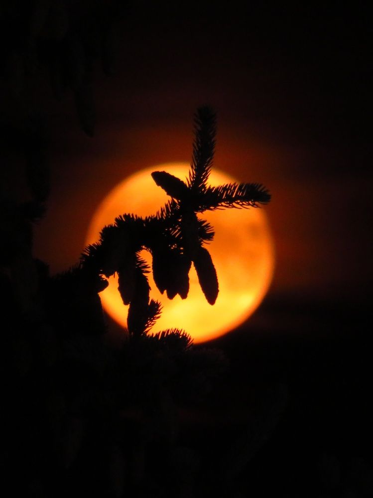 Photograph by Владимир Крылов