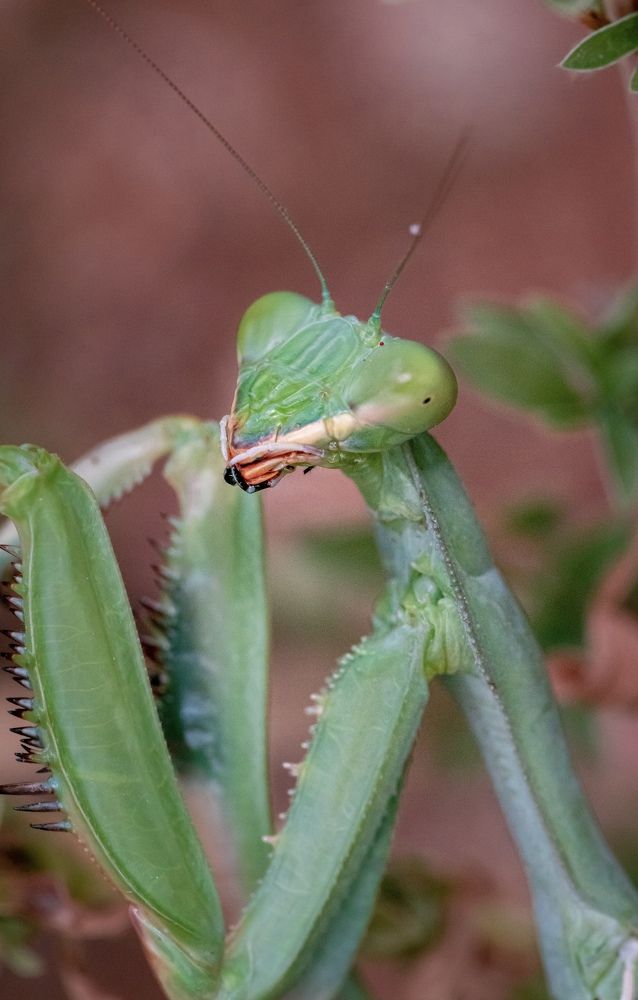 Photograph by Bevzenko Roman