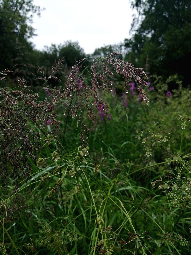 Фотография автора Татьяна Савранчук