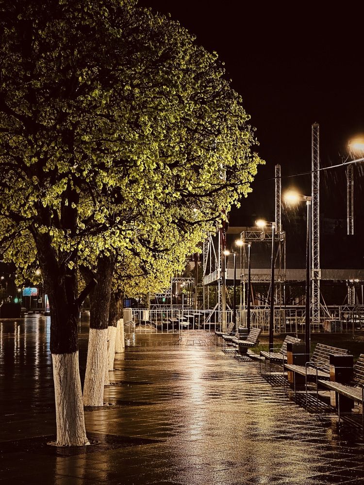 Photograph by Evgenia Privalova