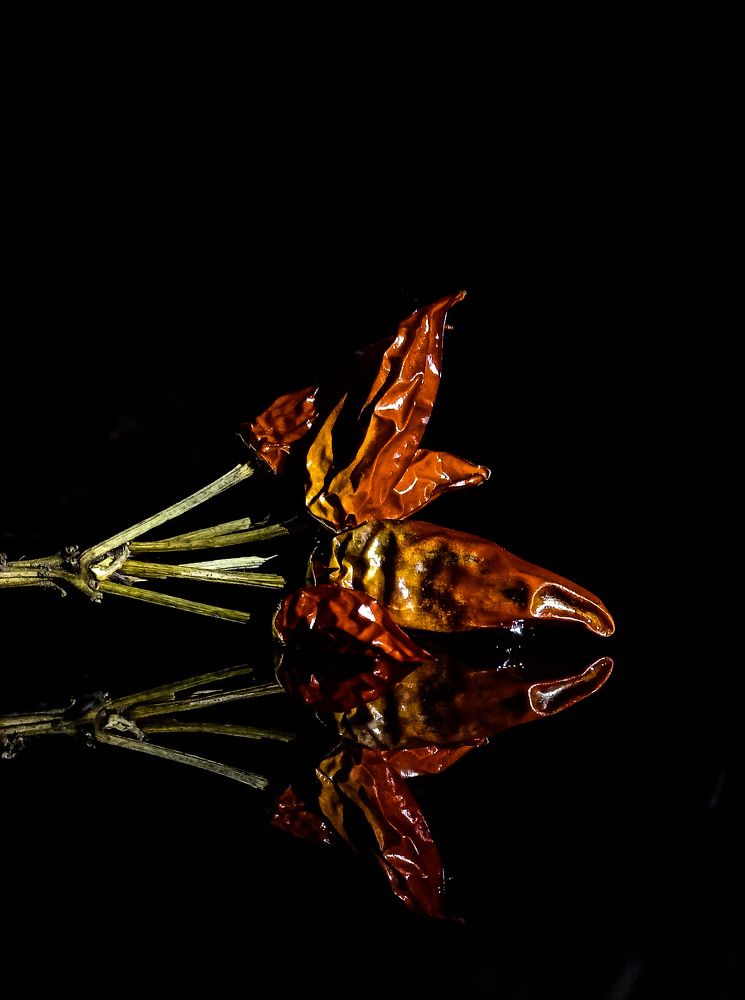 Photograph by Яна Чернега