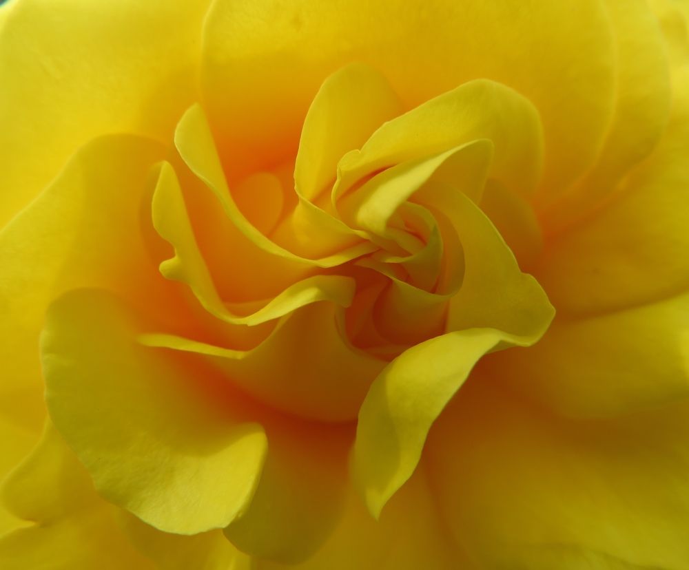 Photograph by Елена Кузина