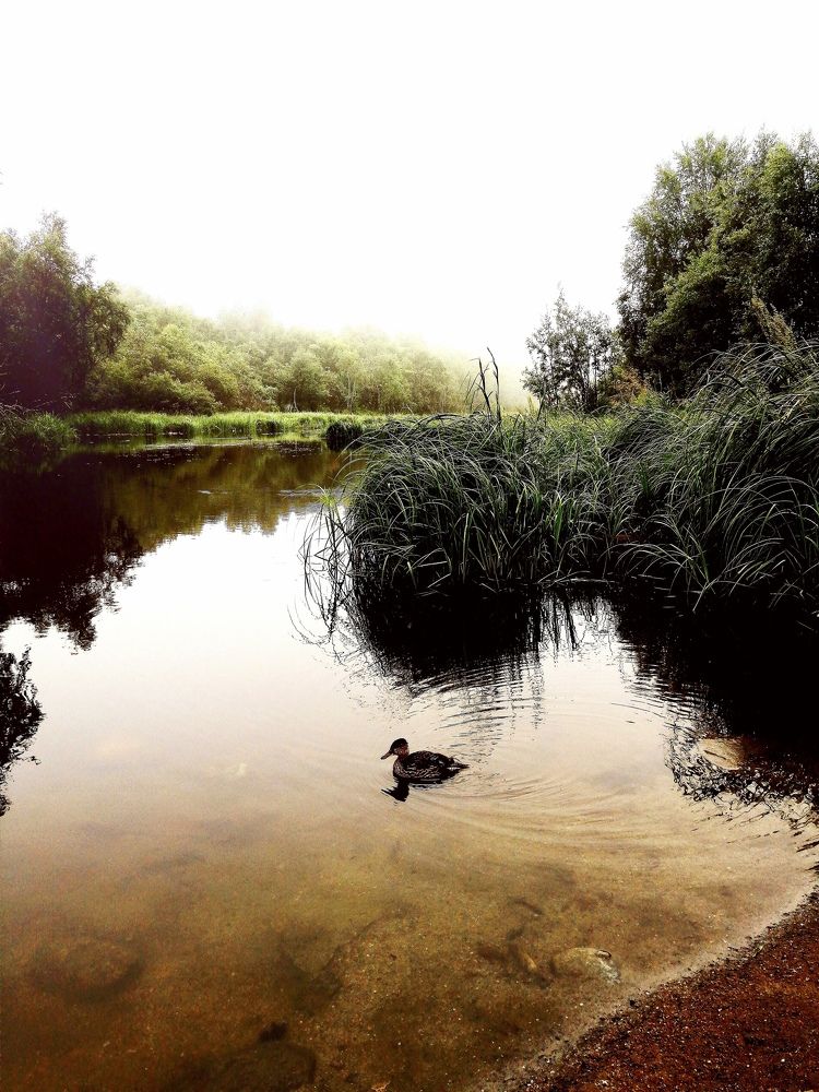Фотография автора Татьяна Савранчук