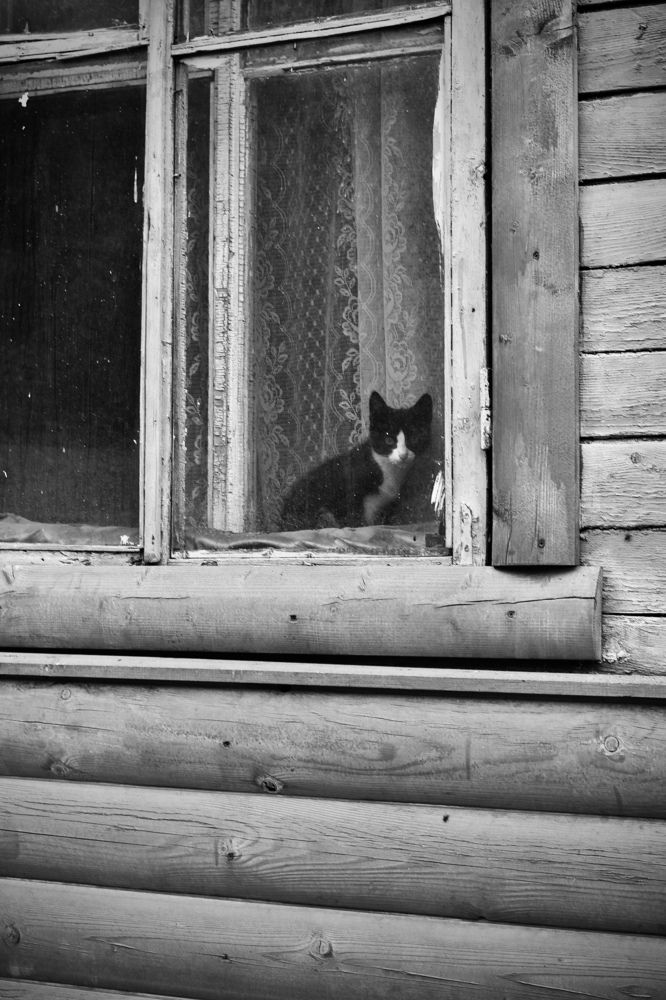 Photograph by Елена Ковалева