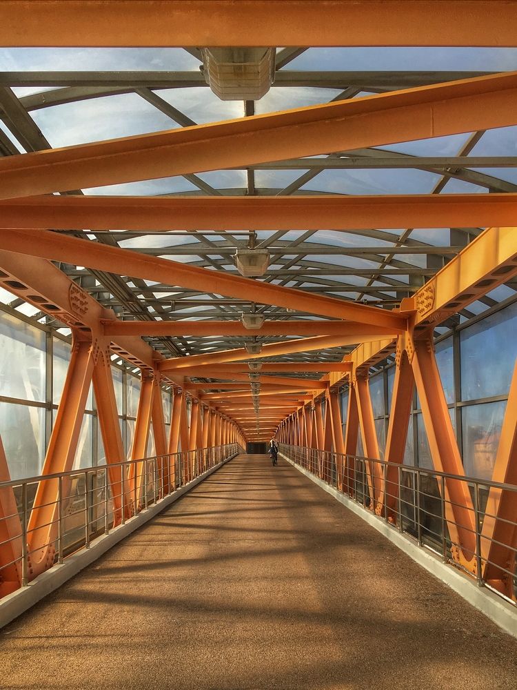 Photograph by Komlev Sergei