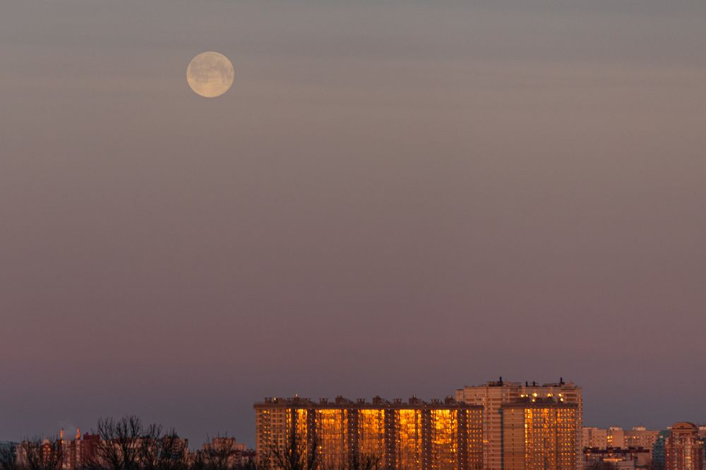 Photograph by Komlev Sergei